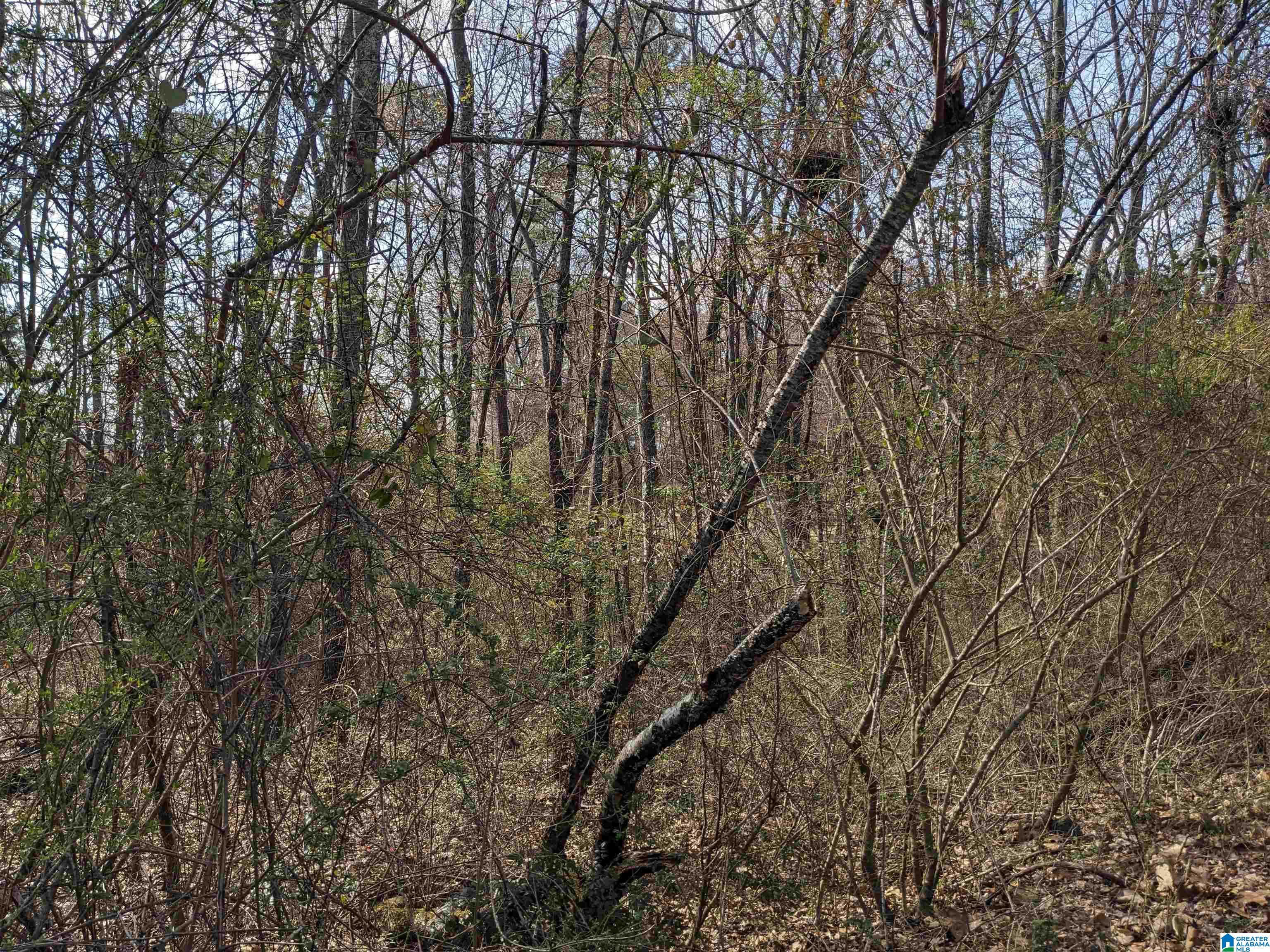 0 Hathaway Heights Road, Unit 2 & 3 Anniston, AL 36207 - Photo 7 of 30