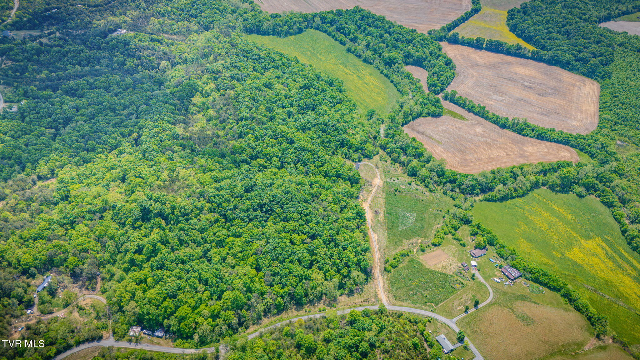 2105 Flea Ridge Road Mohawk, TN 37810 - Photo 2 of 46 108