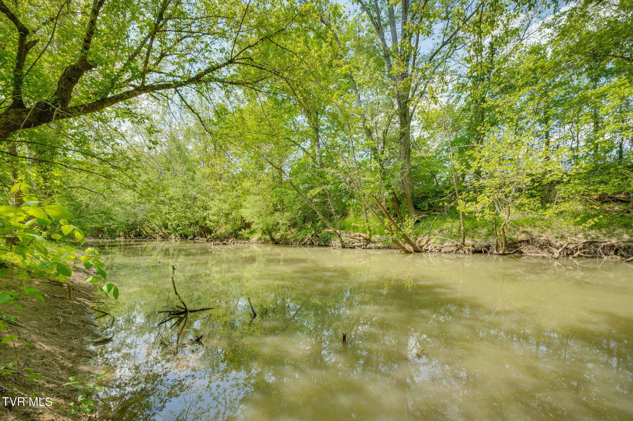 2105 Flea Ridge Road Mohawk, TN 37810 - Photo 3 of 46 024