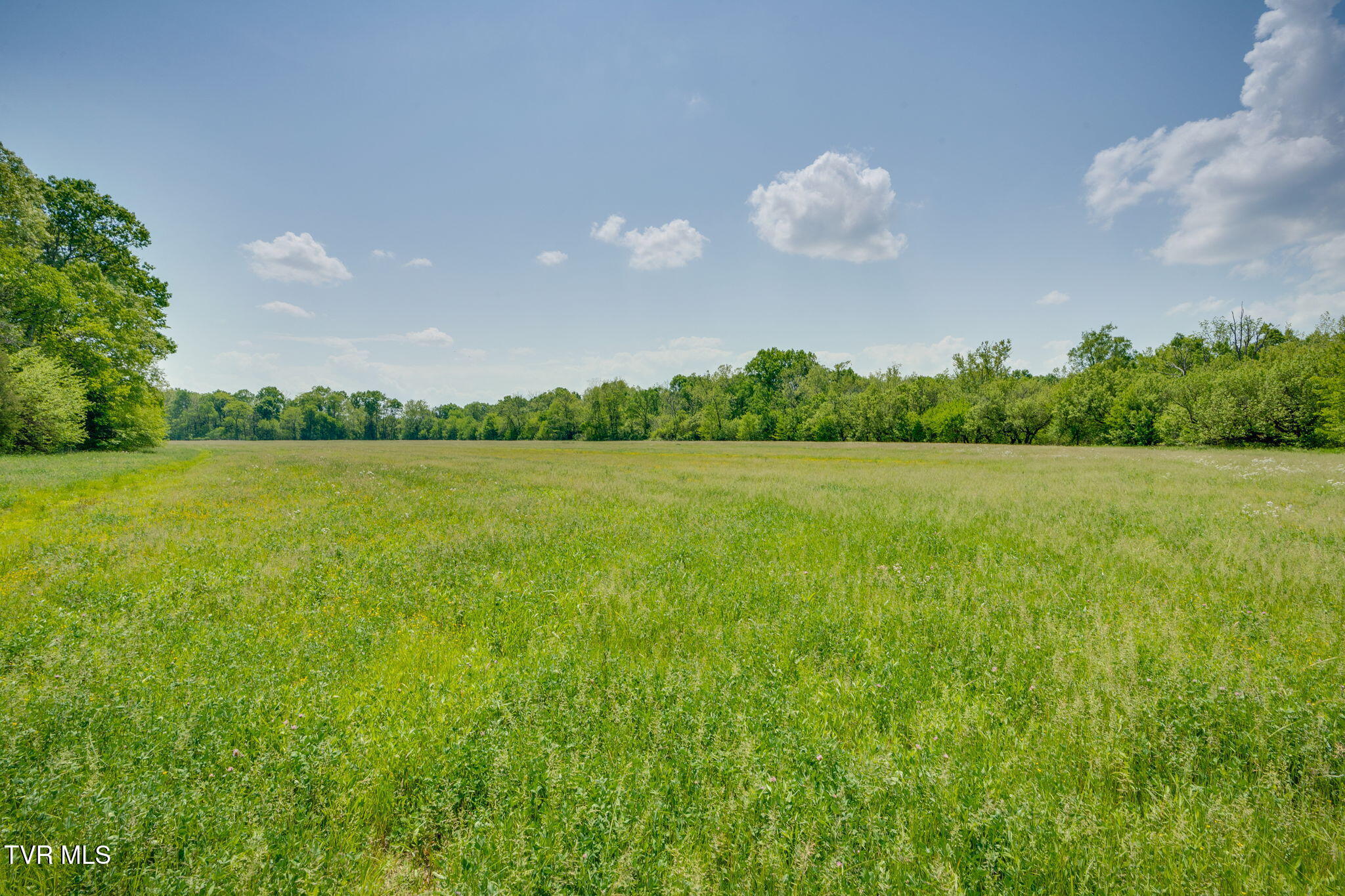 2105 Flea Ridge Road Mohawk, TN 37810 - Photo 34 of 46 023