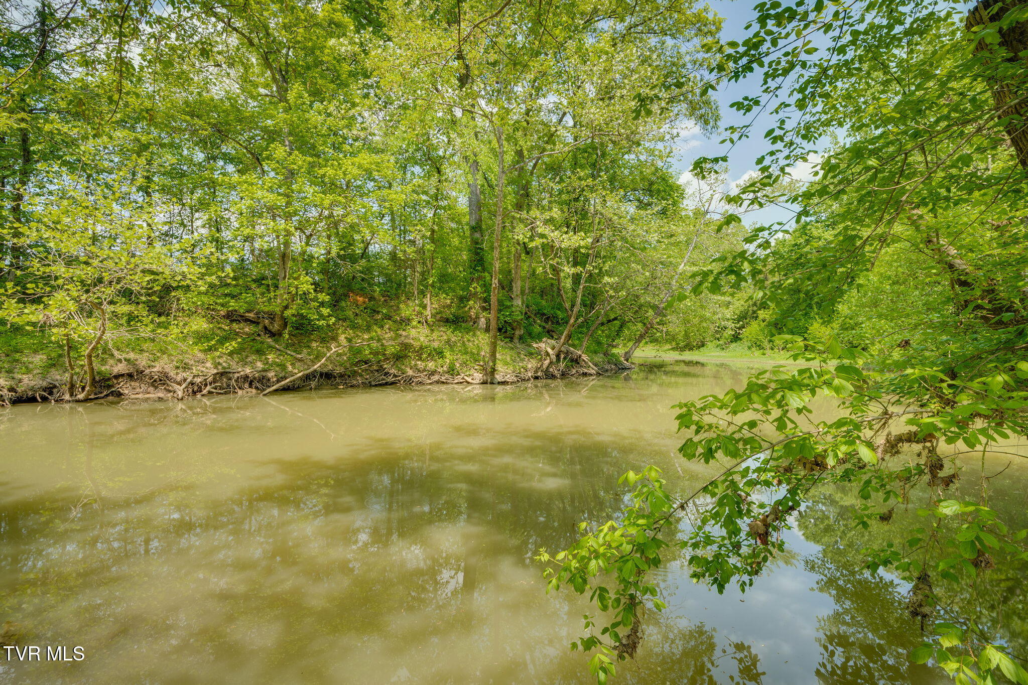 2105 Flea Ridge Road Mohawk, TN 37810 - Photo 35 of 46 025