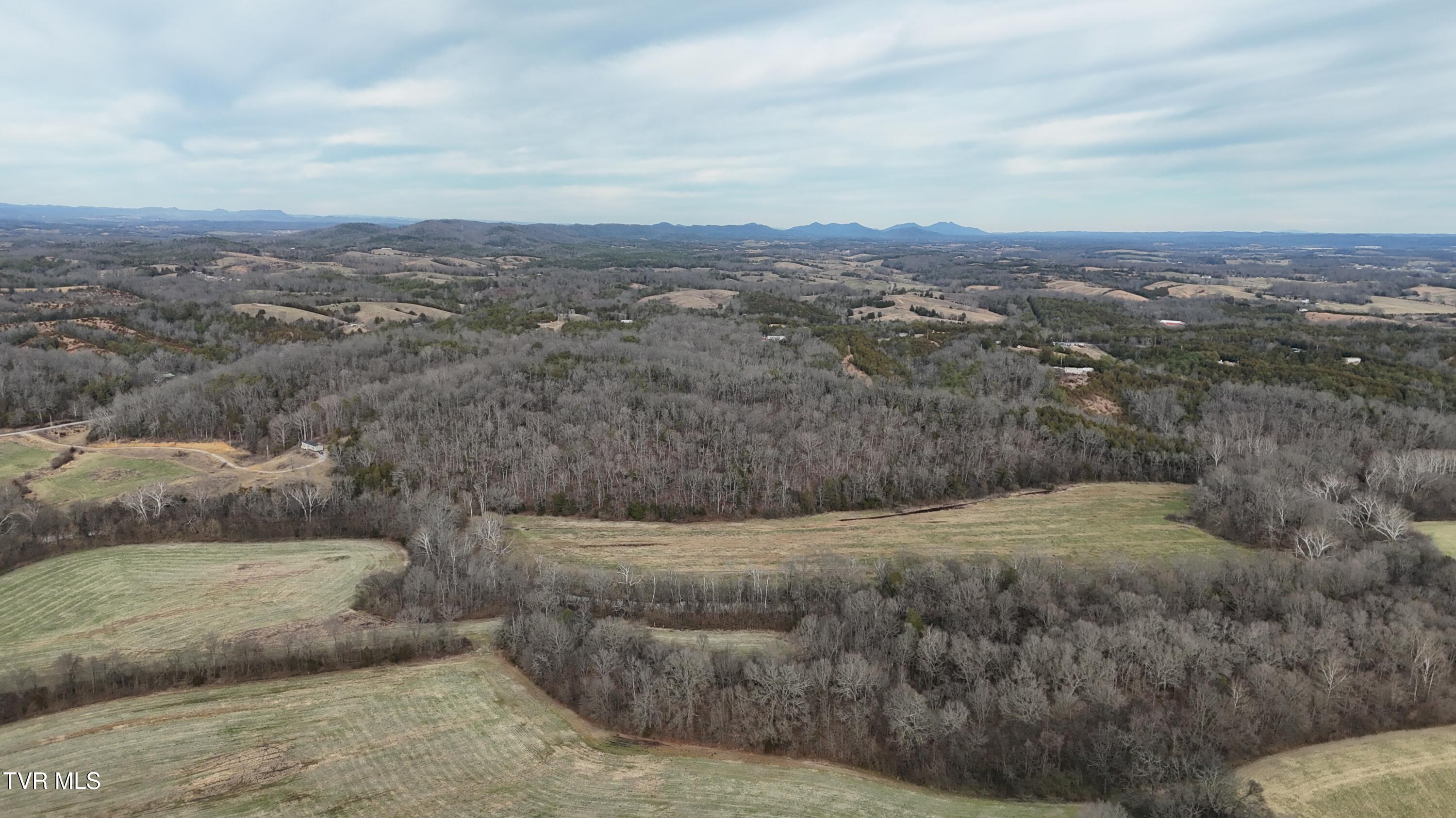 2105 Flea Ridge Road Mohawk, TN 37810 - Photo 36 of 48 dji_fly_20260113_151230_0601_17683437408
