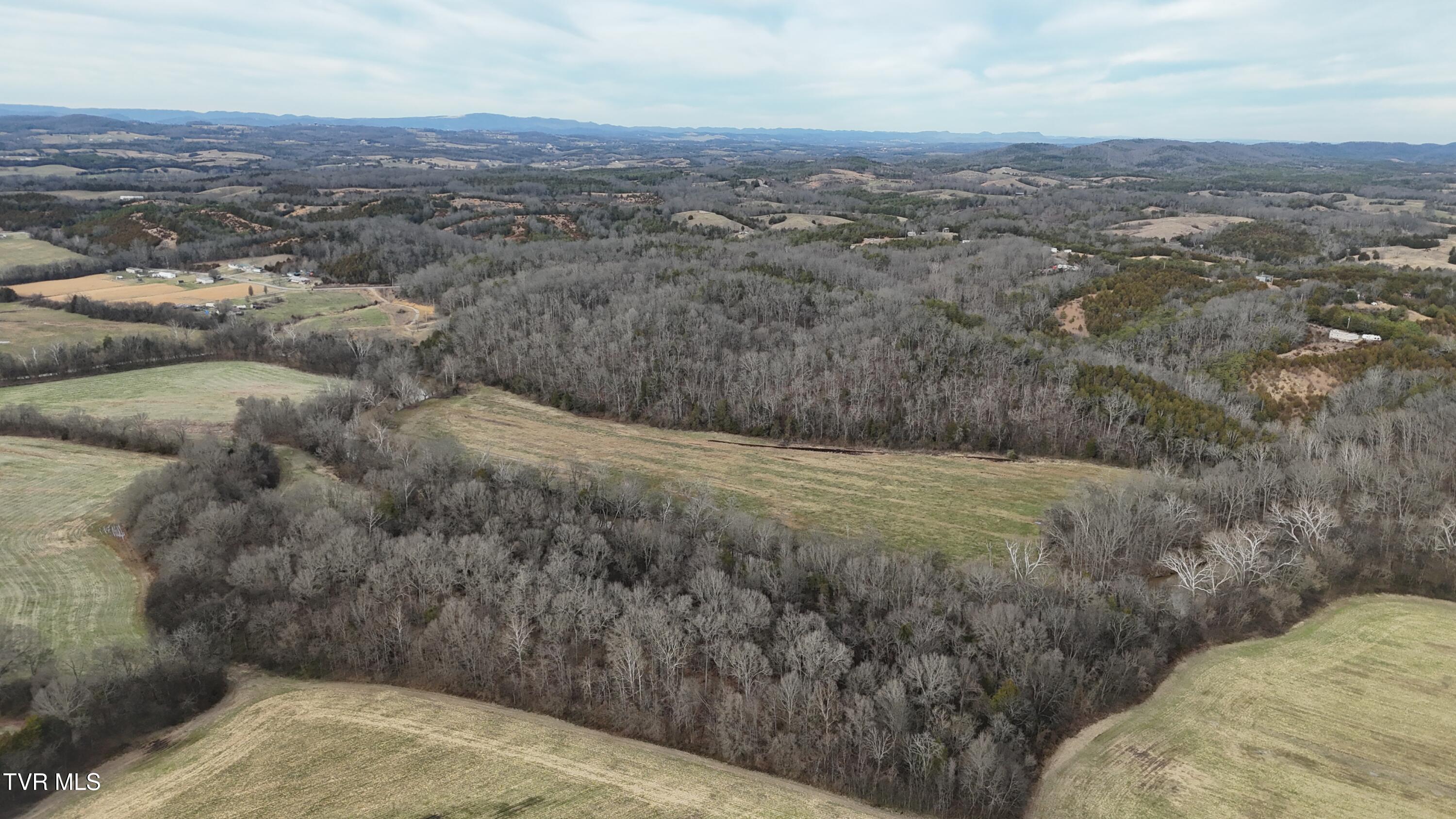 2105 Flea Ridge Road Mohawk, TN 37810 - Photo 37 of 48 dji_fly_20260113_151310_0603_17683437403