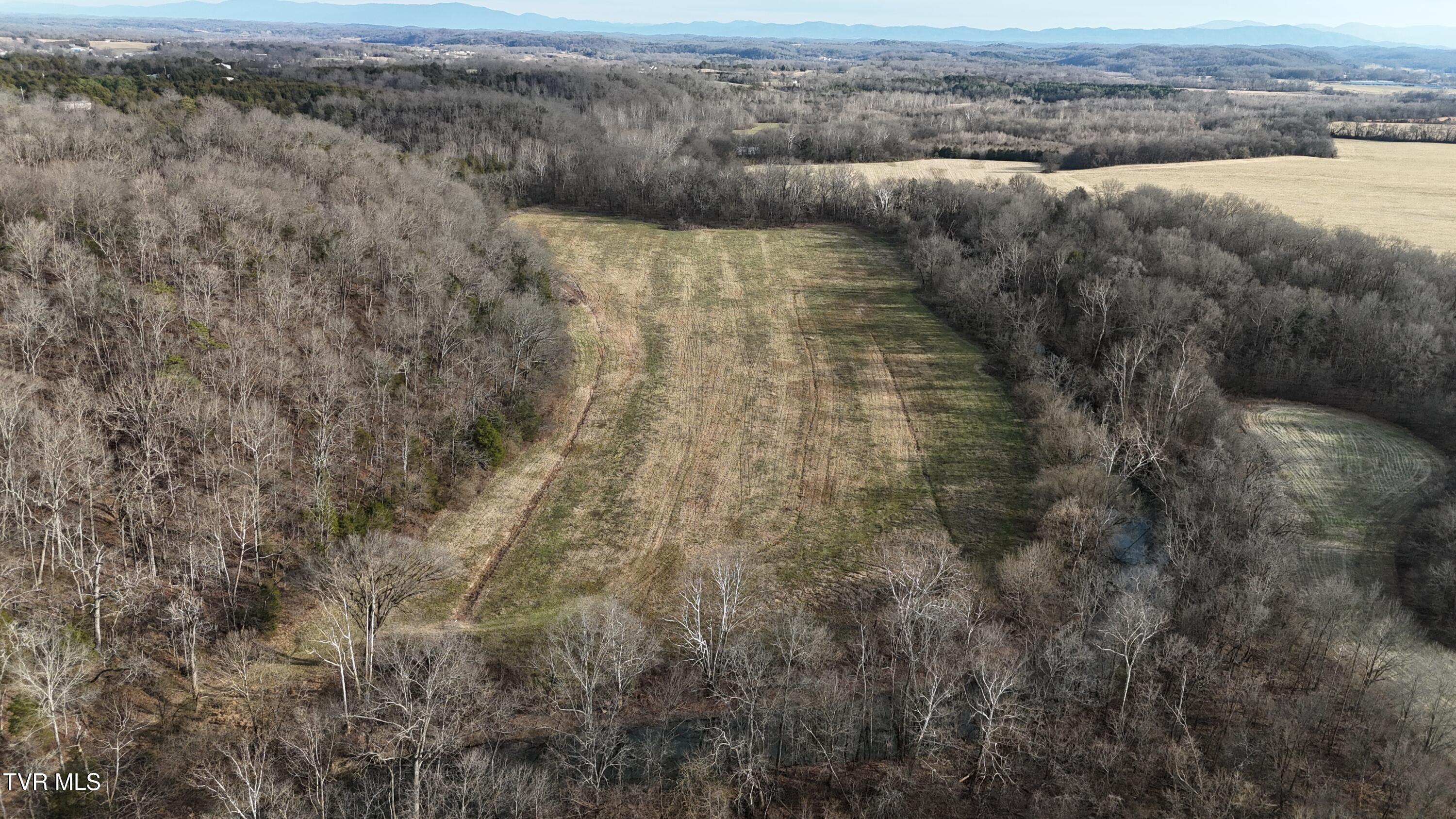 2105 Flea Ridge Road Mohawk, TN 37810 - Photo 40 of 48 dji_fly_20260108_153258_0581_17683437476