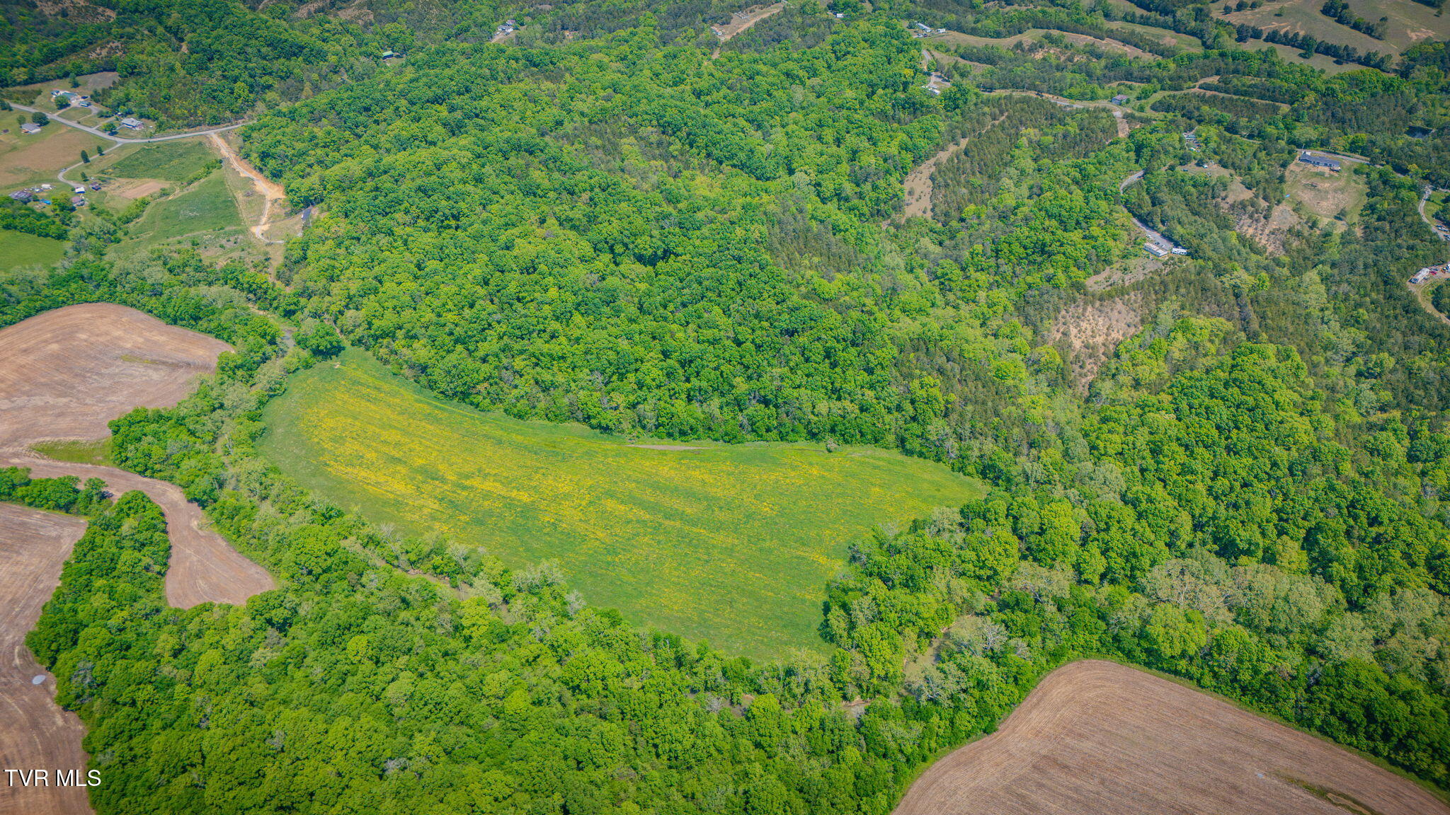 2105 Flea Ridge Road Mohawk, TN 37810 - Photo 40 of 46 110