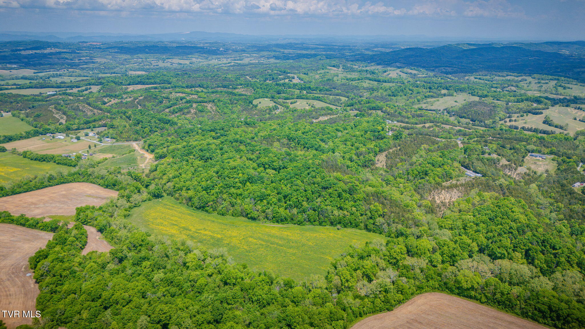 2105 Flea Ridge Road Mohawk, TN 37810 - Photo 41 of 46 111