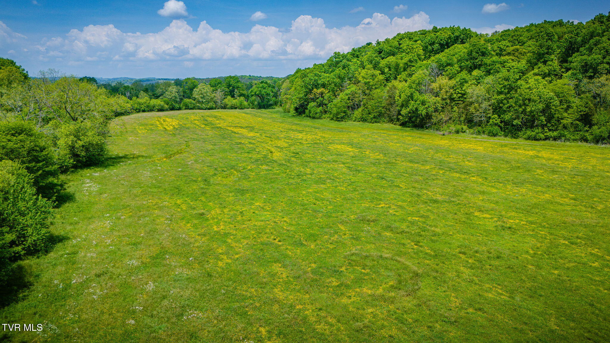 2105 Flea Ridge Road Mohawk, TN 37810 - Photo 43 of 46 113