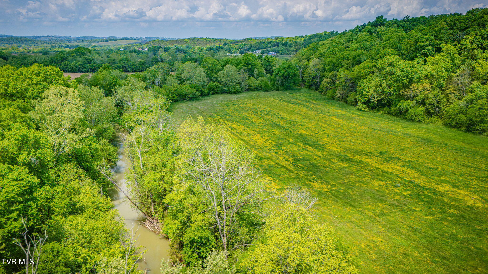 2105 Flea Ridge Road Mohawk, TN 37810 - Photo 44 of 46 114