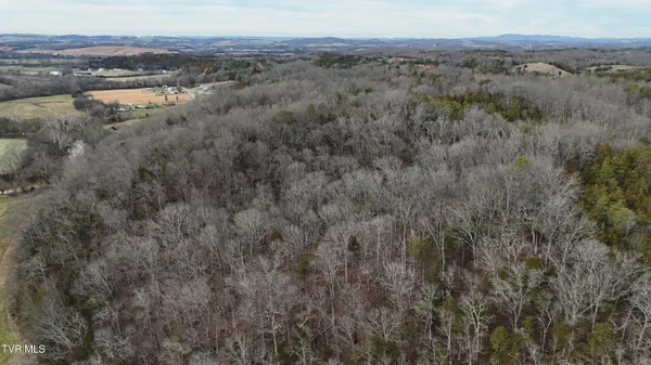$599,000 | 2105 Flea Ridge Road, Mohawk, TN 37810