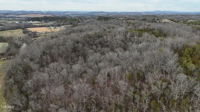 $635,000 | 2105 Flea Ridge Road, Mohawk, TN 37810