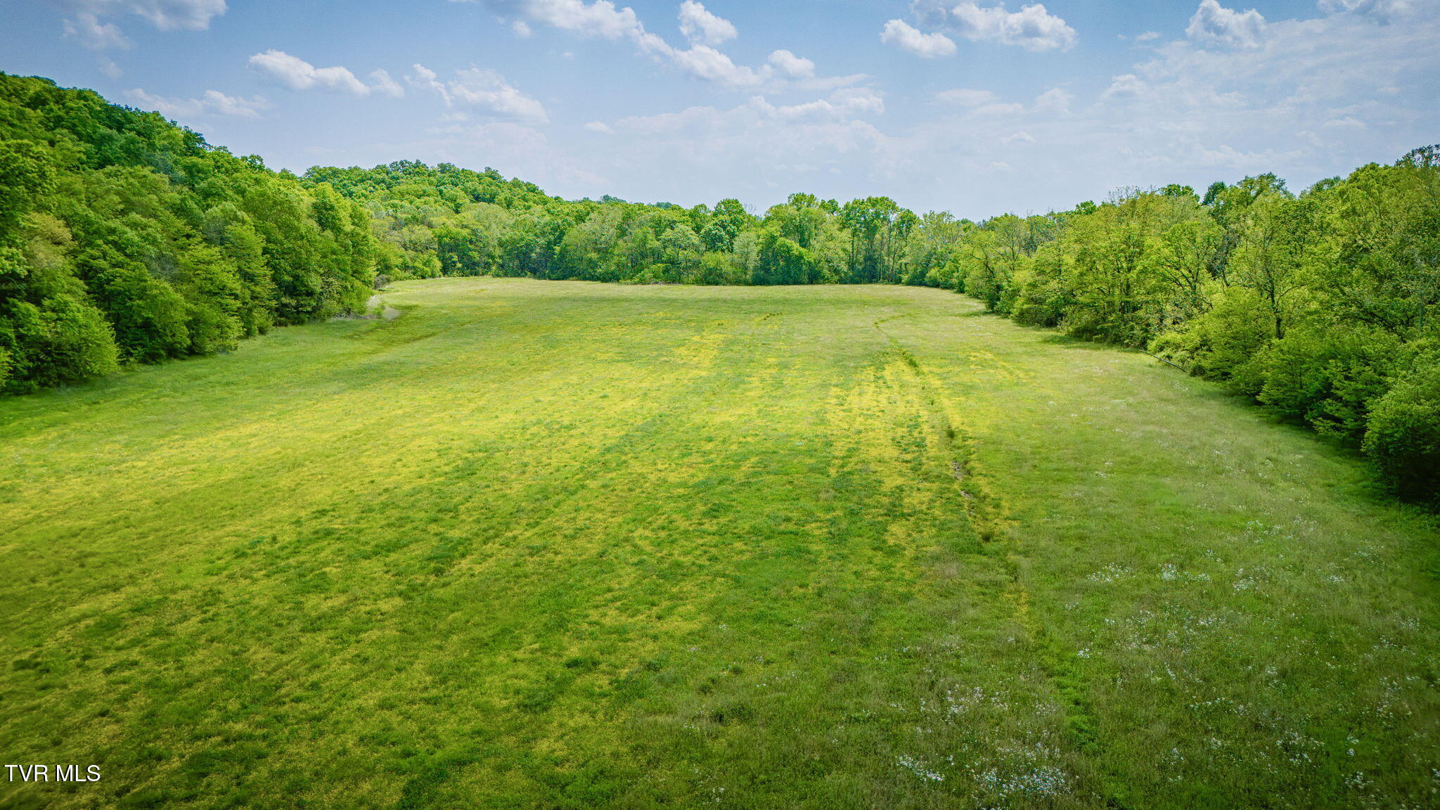 2105 Flea Ridge Road Mohawk, TN 37810 - Photo 45 of 46 115