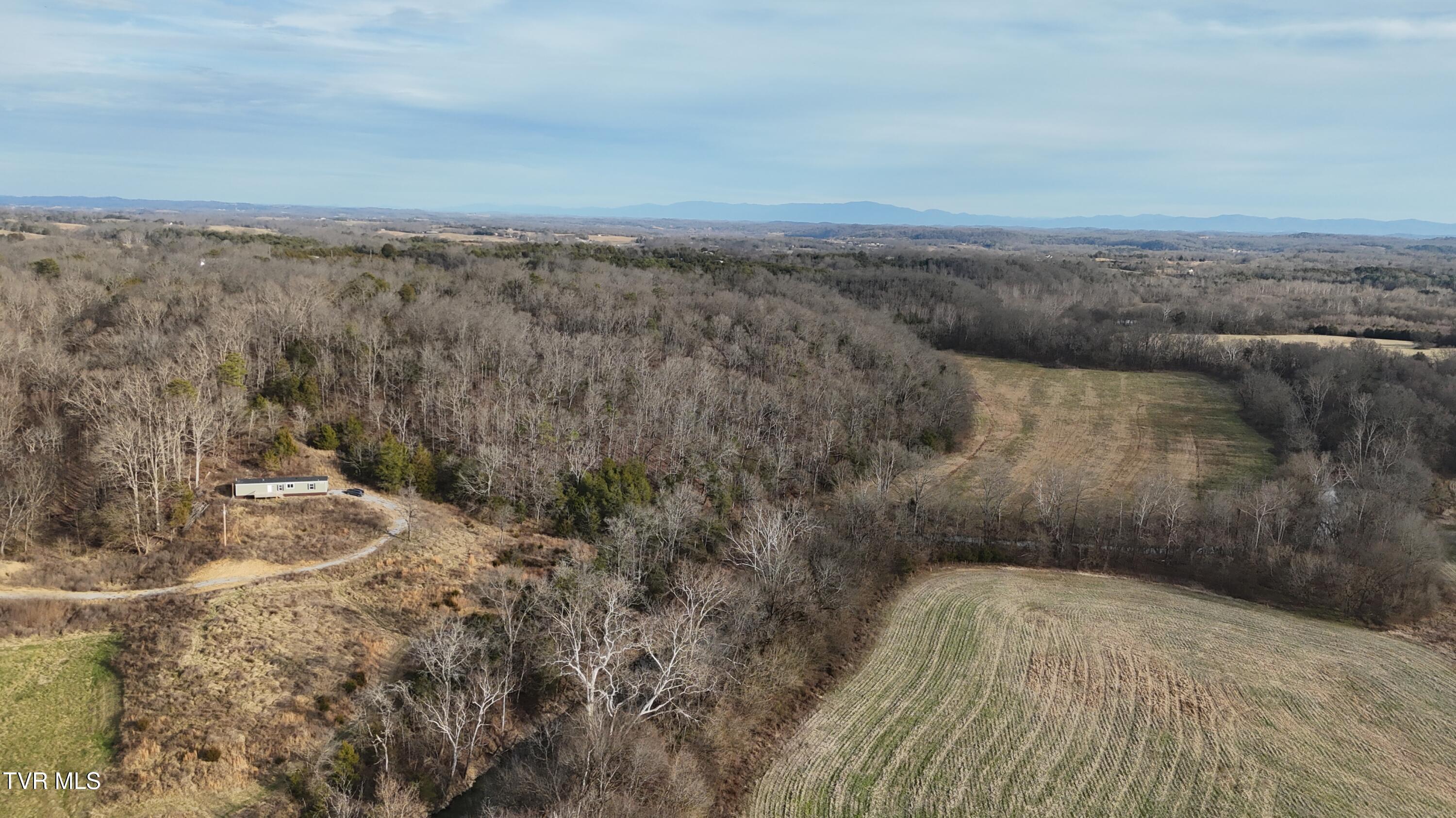 2105 Flea Ridge Road Mohawk, TN 37810 - Photo 46 of 48 dji_fly_20260108_153232_0580_17683437479