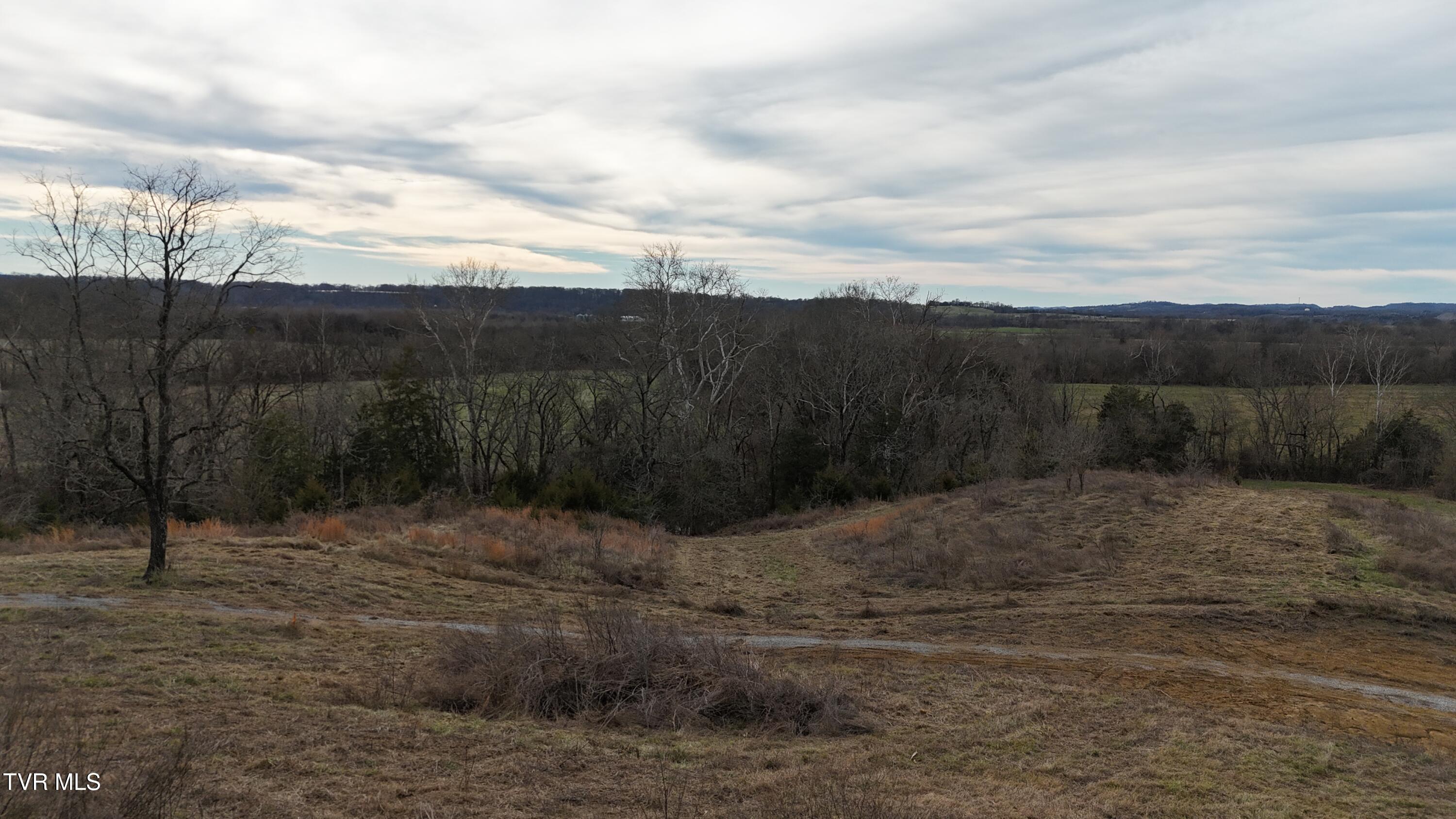 2105 Flea Ridge Road Mohawk, TN 37810 - Photo 7 of 48 dji_fly_20260113_151742_0611_17683437378