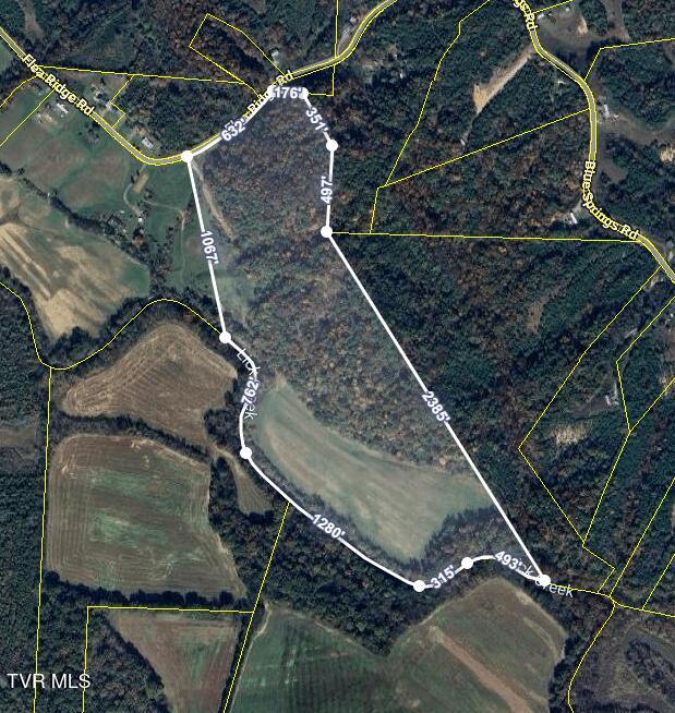 2105 Flea Ridge Road Mohawk, TN 37810 - Photo 9 of 48 Flea Ridge CRS Map