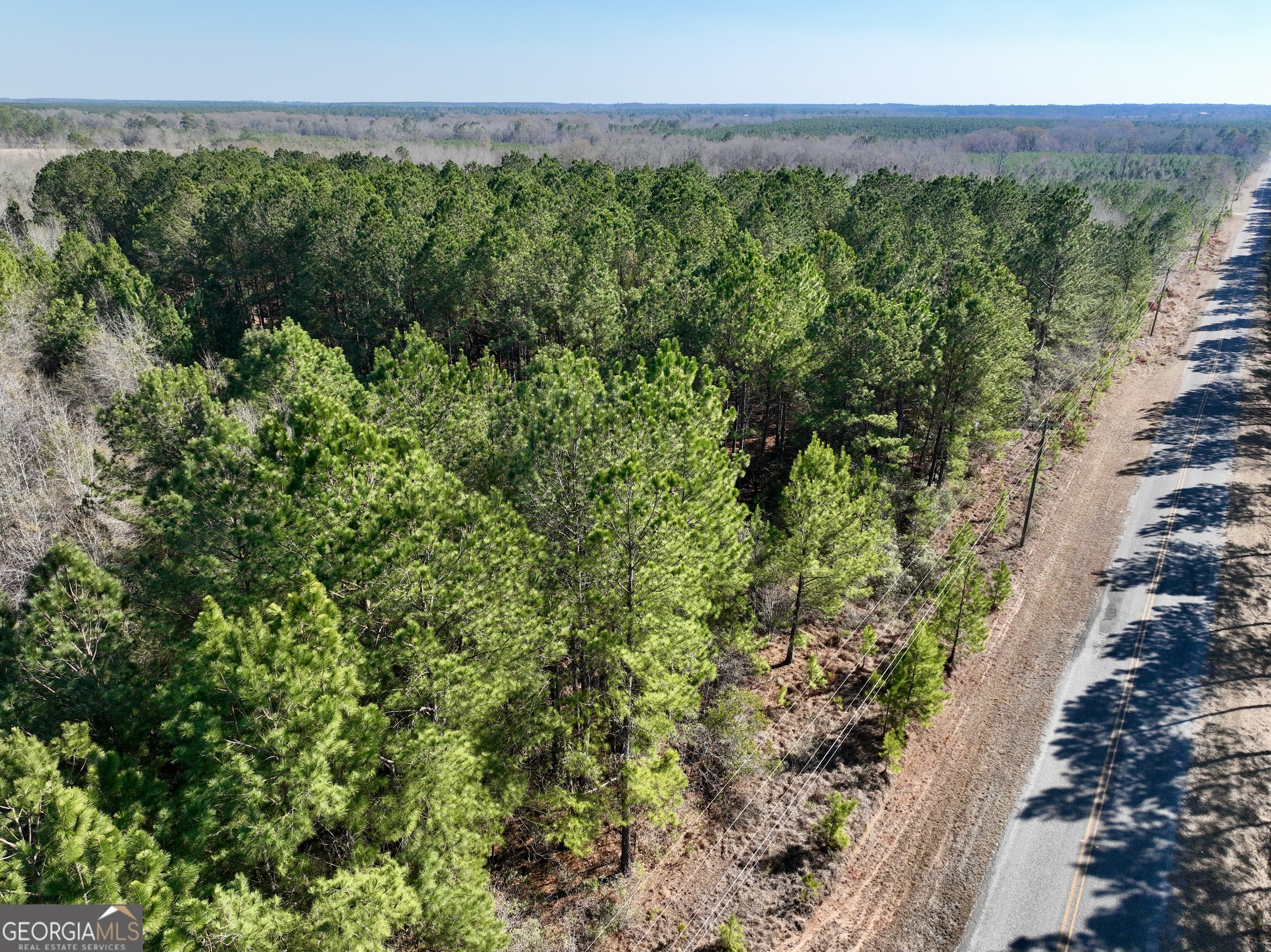 0 Shady Grove Road Abbeville, GA 31001 - Photo 14 of 49 a view of a lush green forest with houses