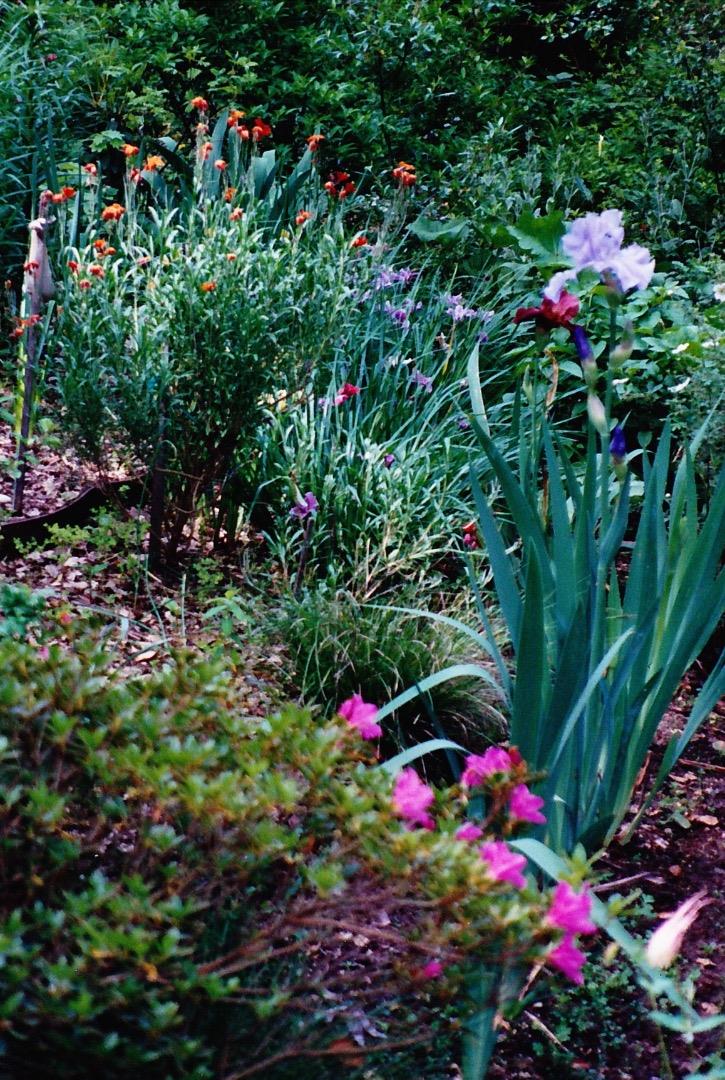 115 Estates Drive Ben Lomond, CA 95005 - Photo 13 of 13 a view of a flower in a garden