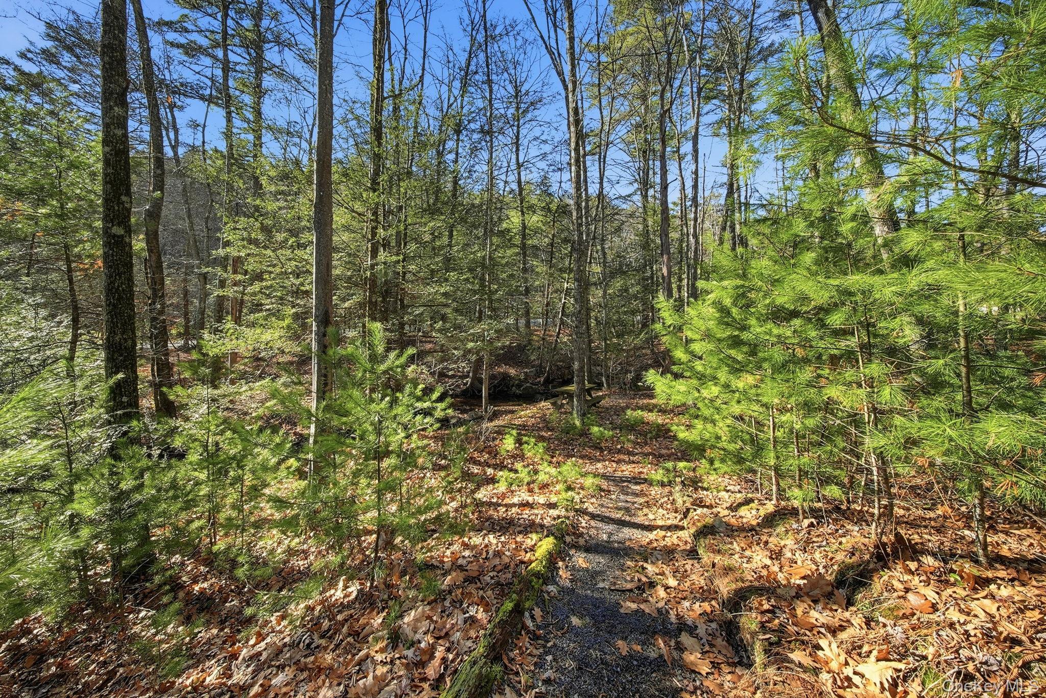 136 Barryville - Yulan Road Barryville, NY 12719 - Photo 32 of 37 View of wooded area