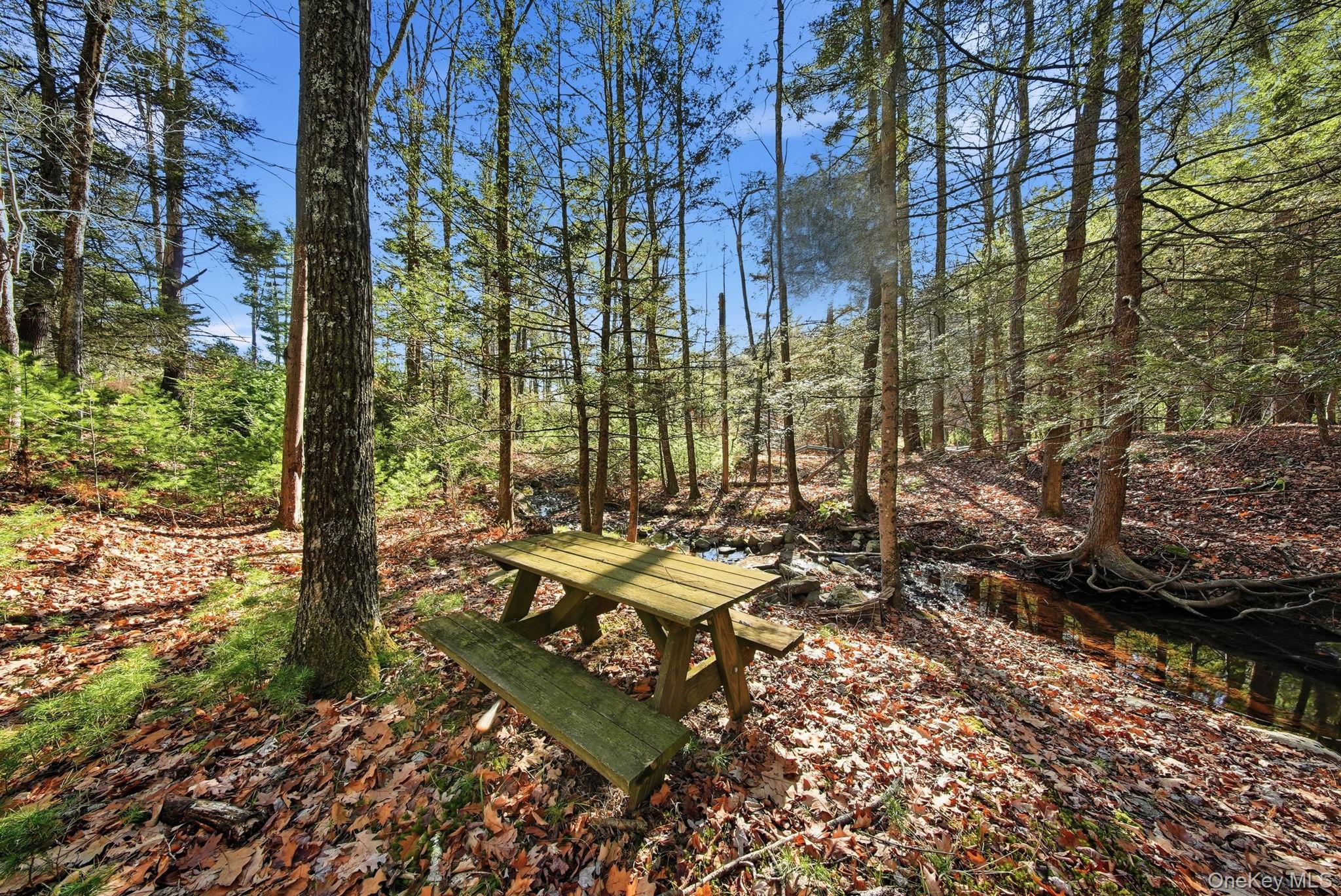 136 Barryville - Yulan Road Barryville, NY 12719 - Photo 33 of 37 View of property's community