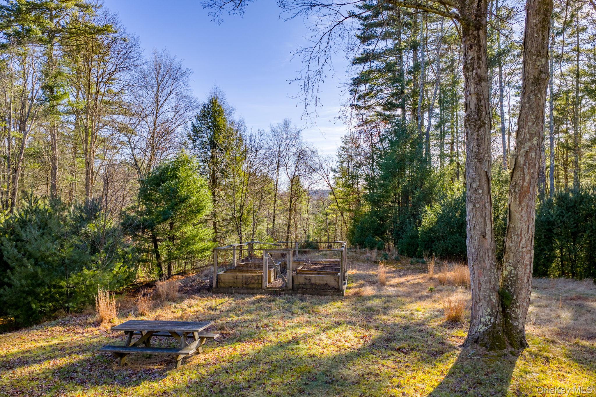 136 Barryville - Yulan Road Barryville, NY 12719 - Photo 35 of 37 View of green lawn with a garden and a forest view