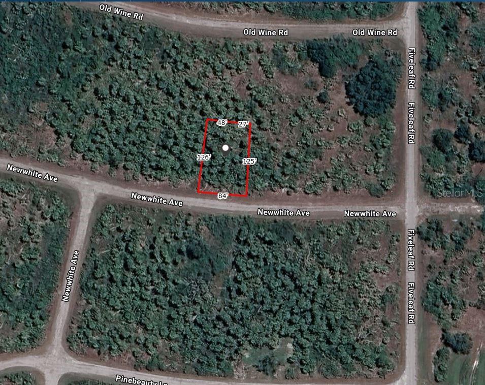 a view of a yard with plants