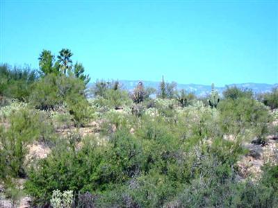 10981 East Escalante Road Tucson, AZ 85730 - Photo 6 of 7 Gallery Image 6