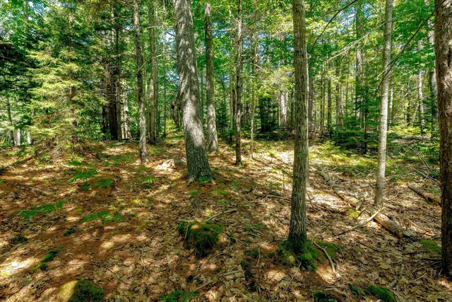 $329,000 | Lot 39-1 Sargent Brook Rd Mount, Mount Desert, ME 04660
