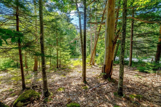 $329,000 | Lot 39-1 Sargent Brook Rd Mount, Mount Desert, ME 04660