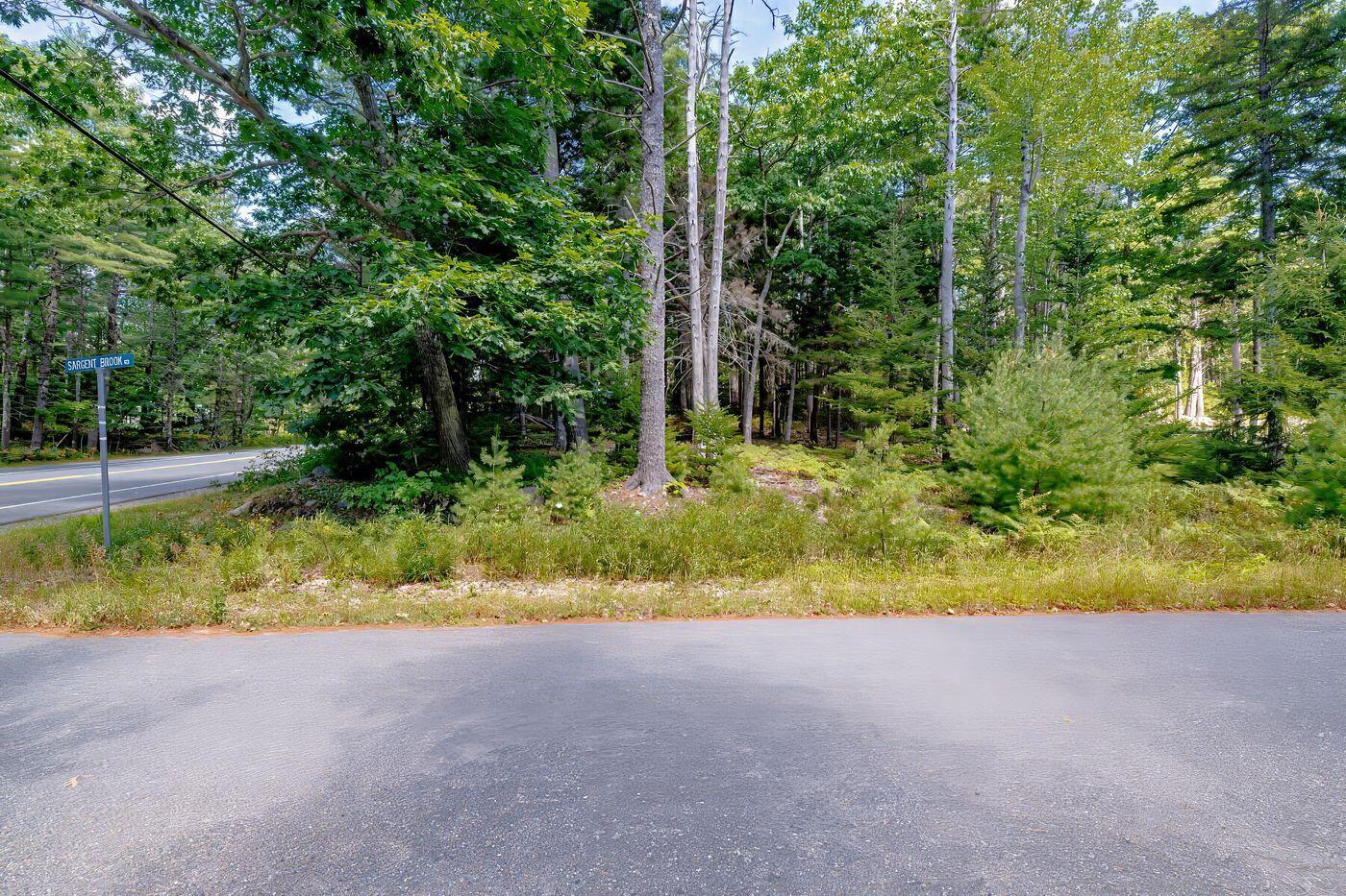 Lot 39-1 Sargent Brook Rd Mount Mount Desert, ME 04660 - Photo 6 of 7 W7-ME2884_6