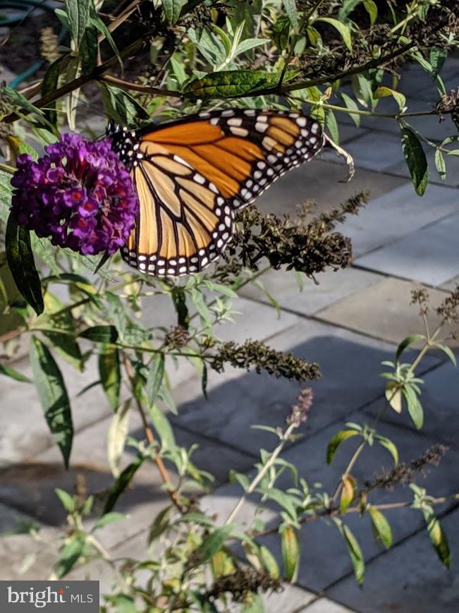 107 Stoopville Road Newtown, PA 18940 - Photo 51 of 60 a view of outdoor sitting area