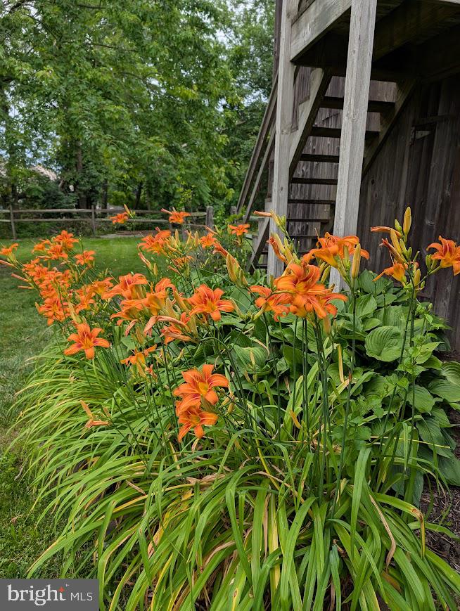 107 Stoopville Road Newtown, PA 18940 - Photo 55 of 60 a view of a backyard of the house