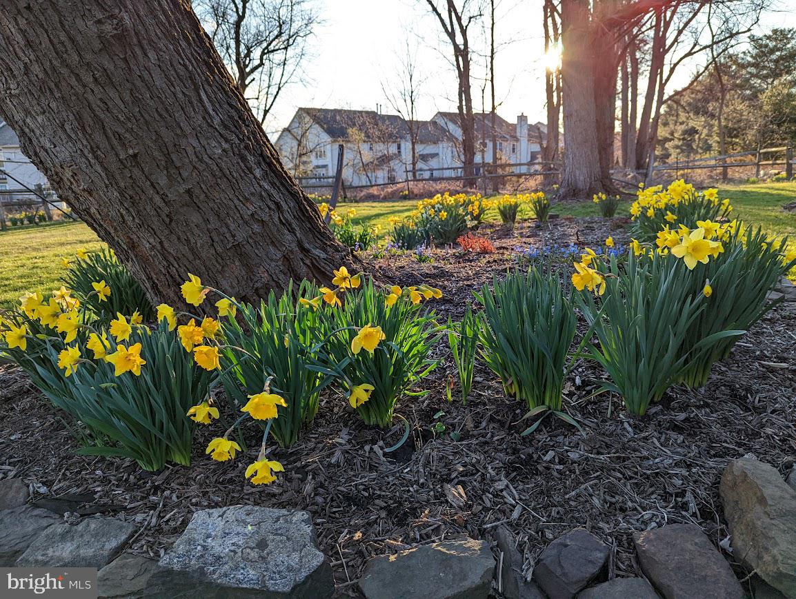 107 Stoopville Road Newtown, PA 18940 - Photo 60 of 60 a view of a bunch of flowers and trees