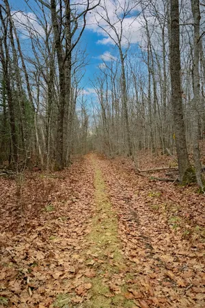 $99,000 | Lot 151 Dunbar Road, Thomaston, ME 04861