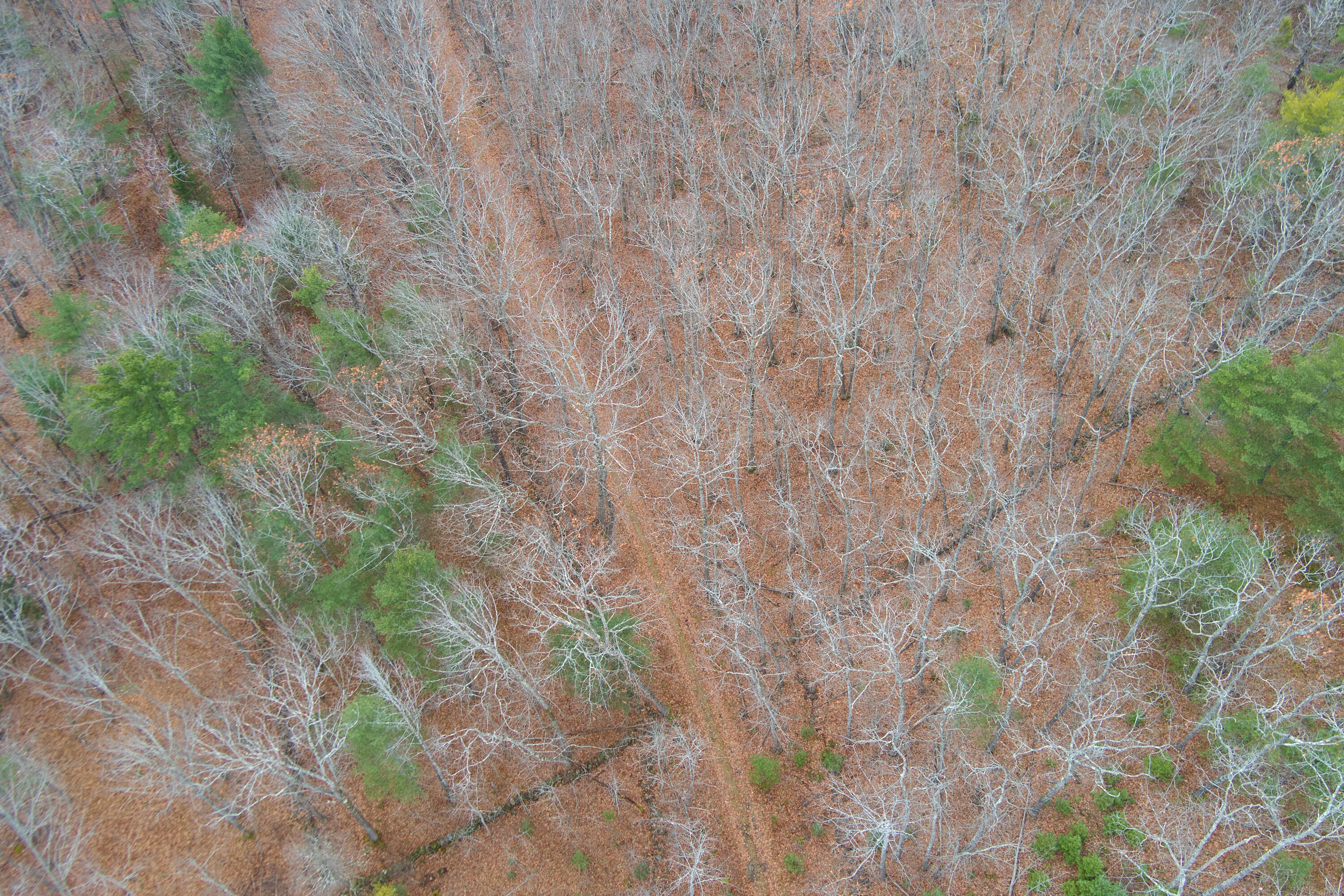 Lot 151 Dunbar Road Thomaston, ME 04861 - Photo 9 of 9 Aerial of road and stone wall corner