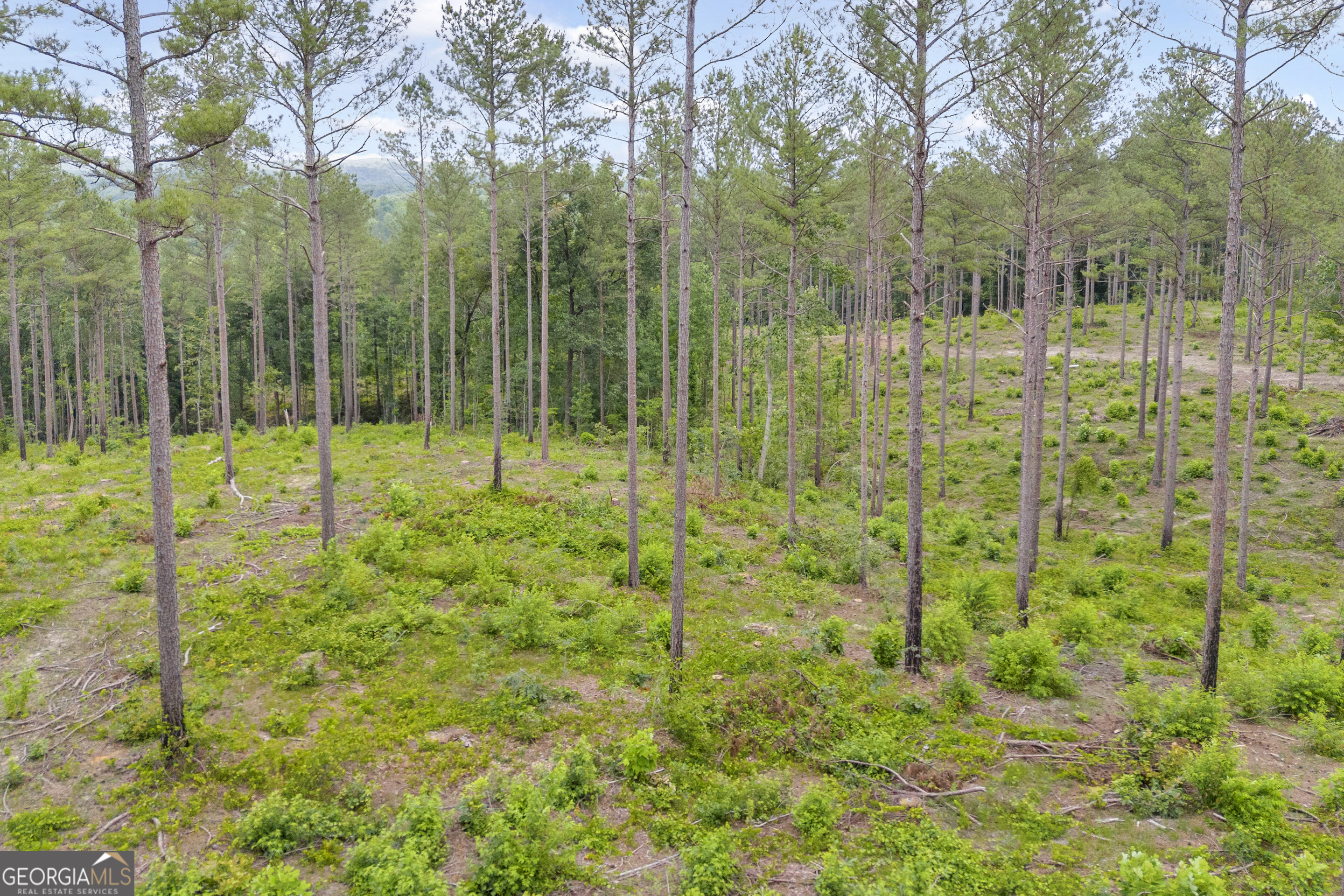 0 Mt Sinai Road, Unit LOT 1 Lula, GA 30554 - Photo 24 of 67