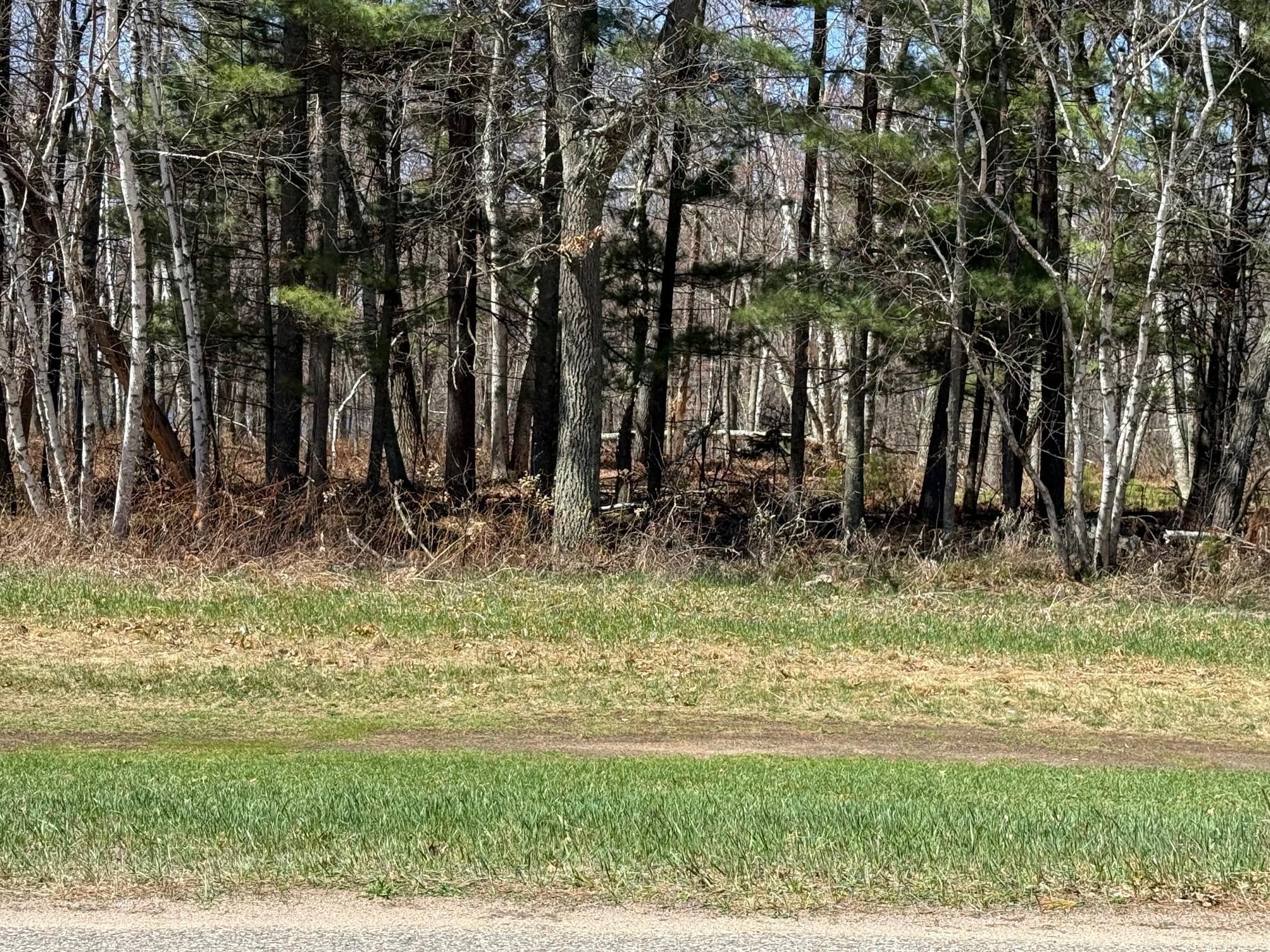 4 County Road 4 Pequot Lakes, MN 56472 - Photo 1 of 1