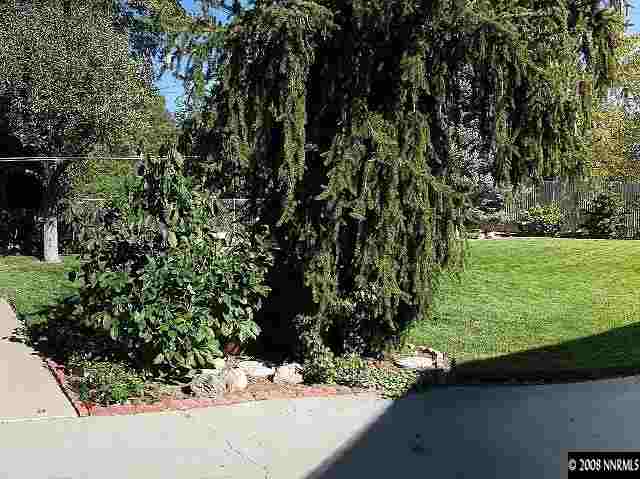 690 Georgia Place Reno, NV 89509 - Photo 9 of 9 a view of a garden with a tree