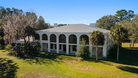 a view of a park with palm trees
