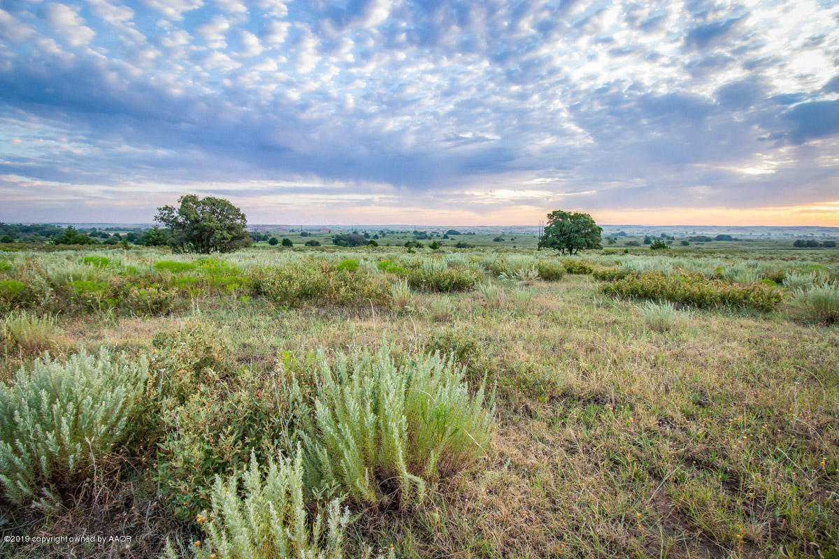 North Fork Ranch Shamrock, TX 79079 - Photo 33 of 79 North_Fork_Ranch-1