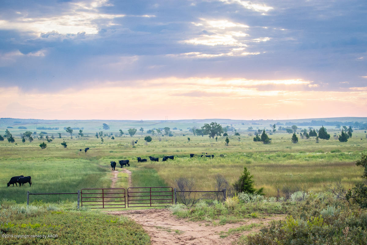 North Fork Ranch Shamrock, TX 79079 - Photo 36 of 79 North_Fork_Ranch-4