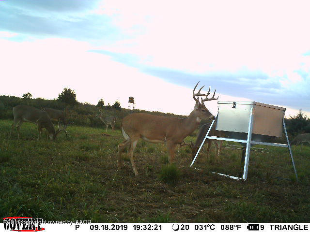 North Fork Ranch Shamrock, TX 79079 - Photo 72 of 79 North Fork Game-2