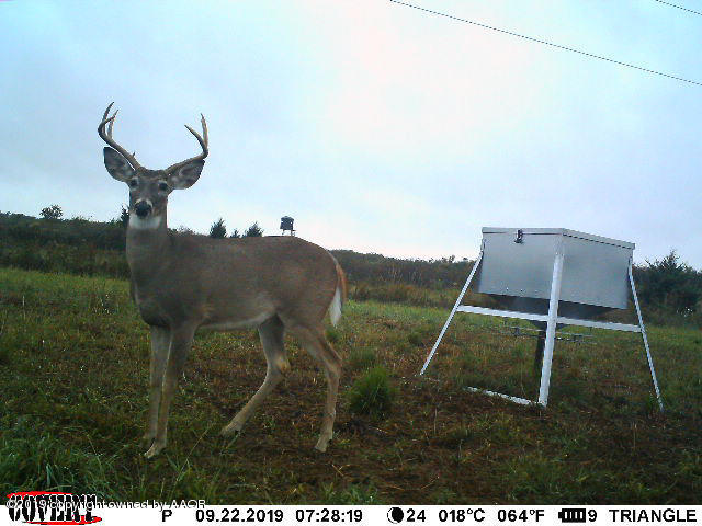 North Fork Ranch Shamrock, TX 79079 - Photo 73 of 79 North Fork Game-3