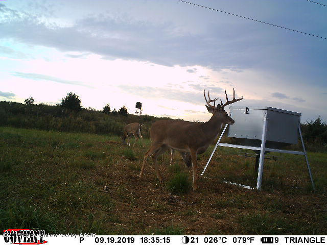 North Fork Ranch Shamrock, TX 79079 - Photo 76 of 79 North Fork Game-6
