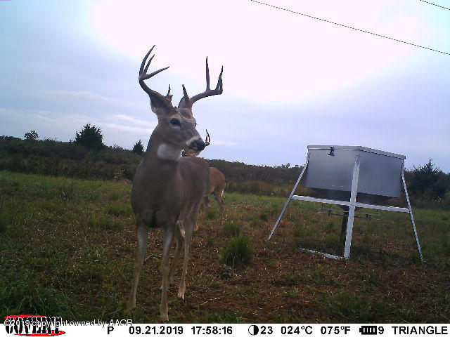 North Fork Ranch Shamrock, TX 79079 - Photo 77 of 79 North Fork Game-7
