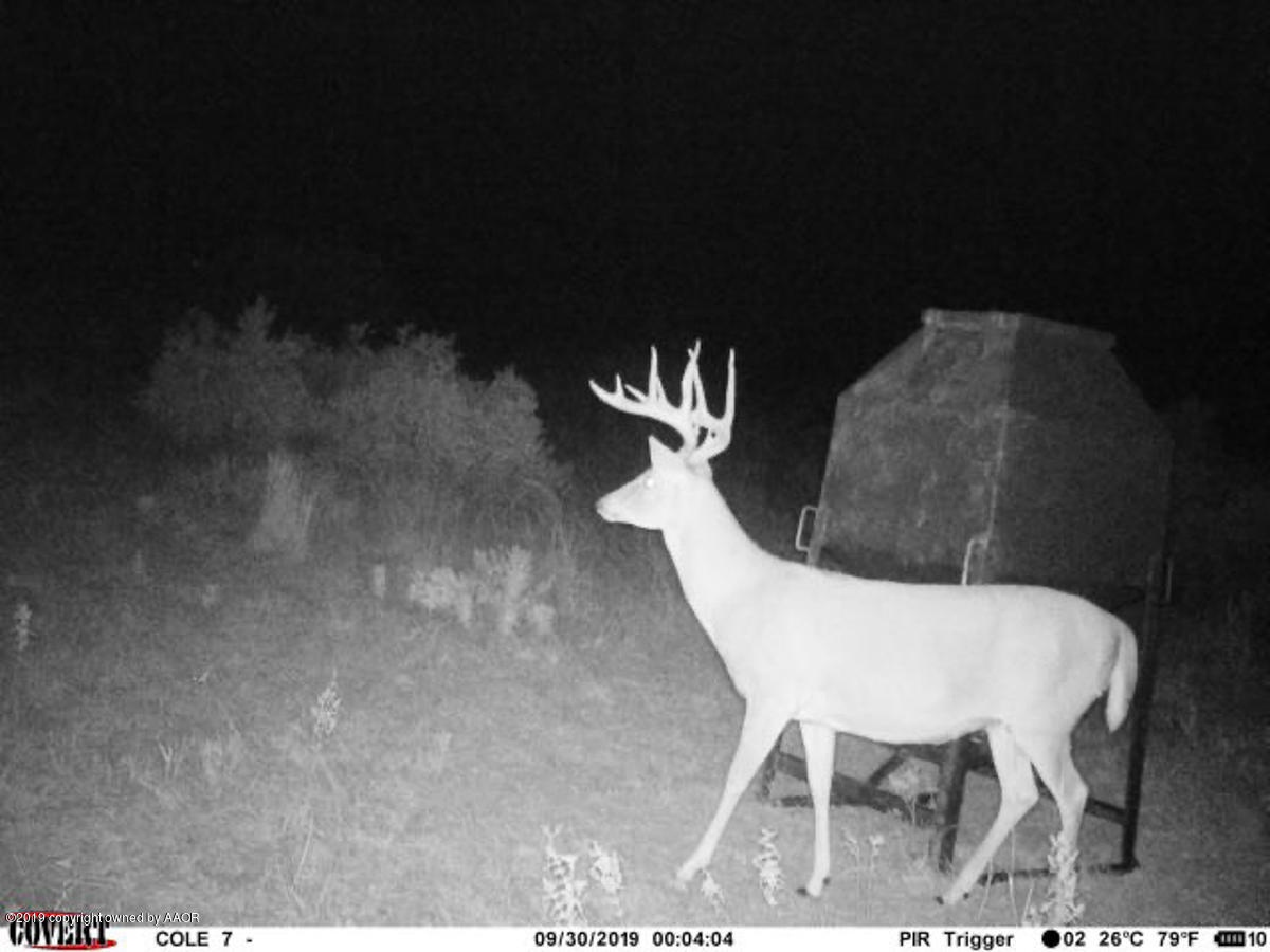 North Fork Ranch Shamrock, TX 79079 - Photo 79 of 79 North_Fork_Game-9