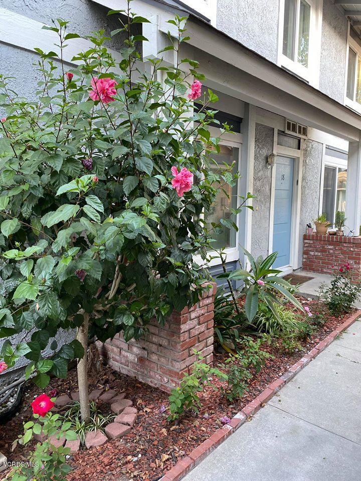 527 Spring Road, Unit 18 Moorpark, CA 93021 - Photo 1 of 6 a flower plants in front of the house