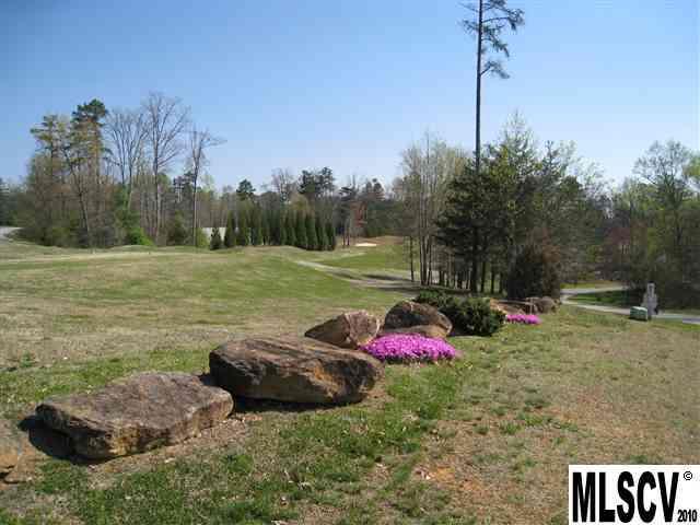Lot 19 Players Ridge Road, Unit LOT19 PHASE 8A Hickory, NC 28601 - Photo 6 of 12 Gallery Image 6