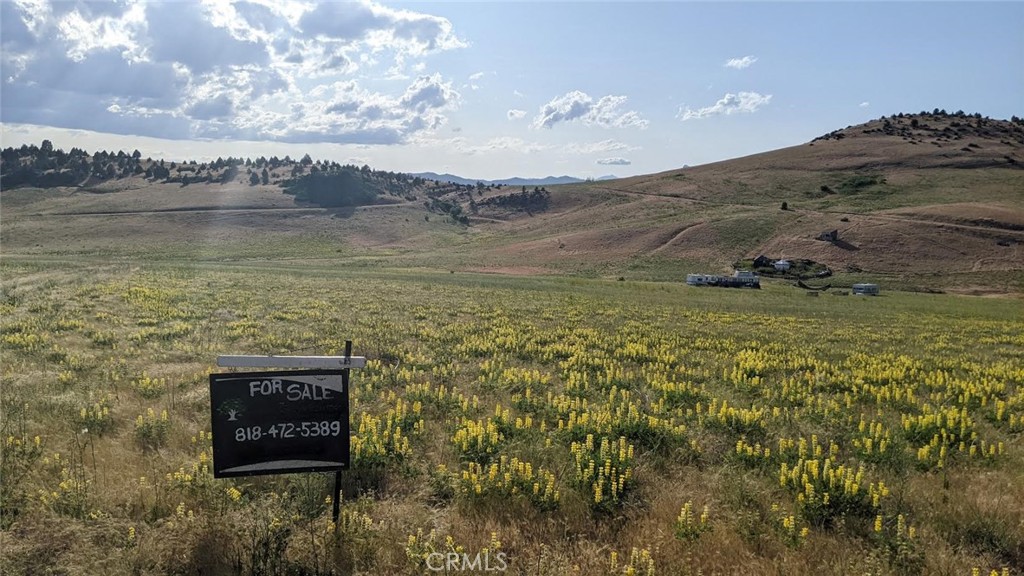 0 Th Hornbrook, CA 96044 - Photo 2 of 5 a view of a lake with a mountain