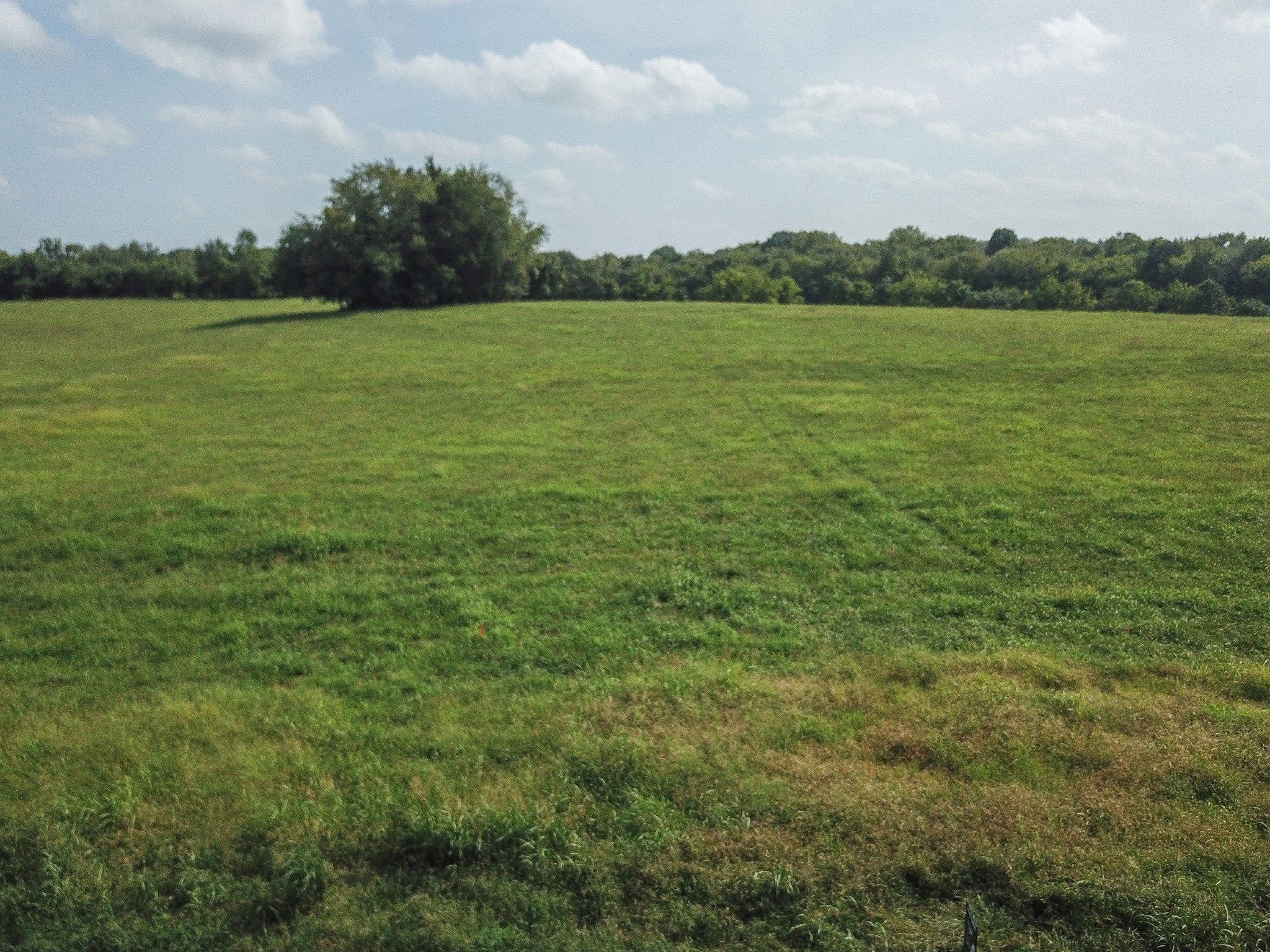 9687 Midland Road Bell Buckle, TN 37020 - Photo 5 of 5 a view of an ocean from a yard