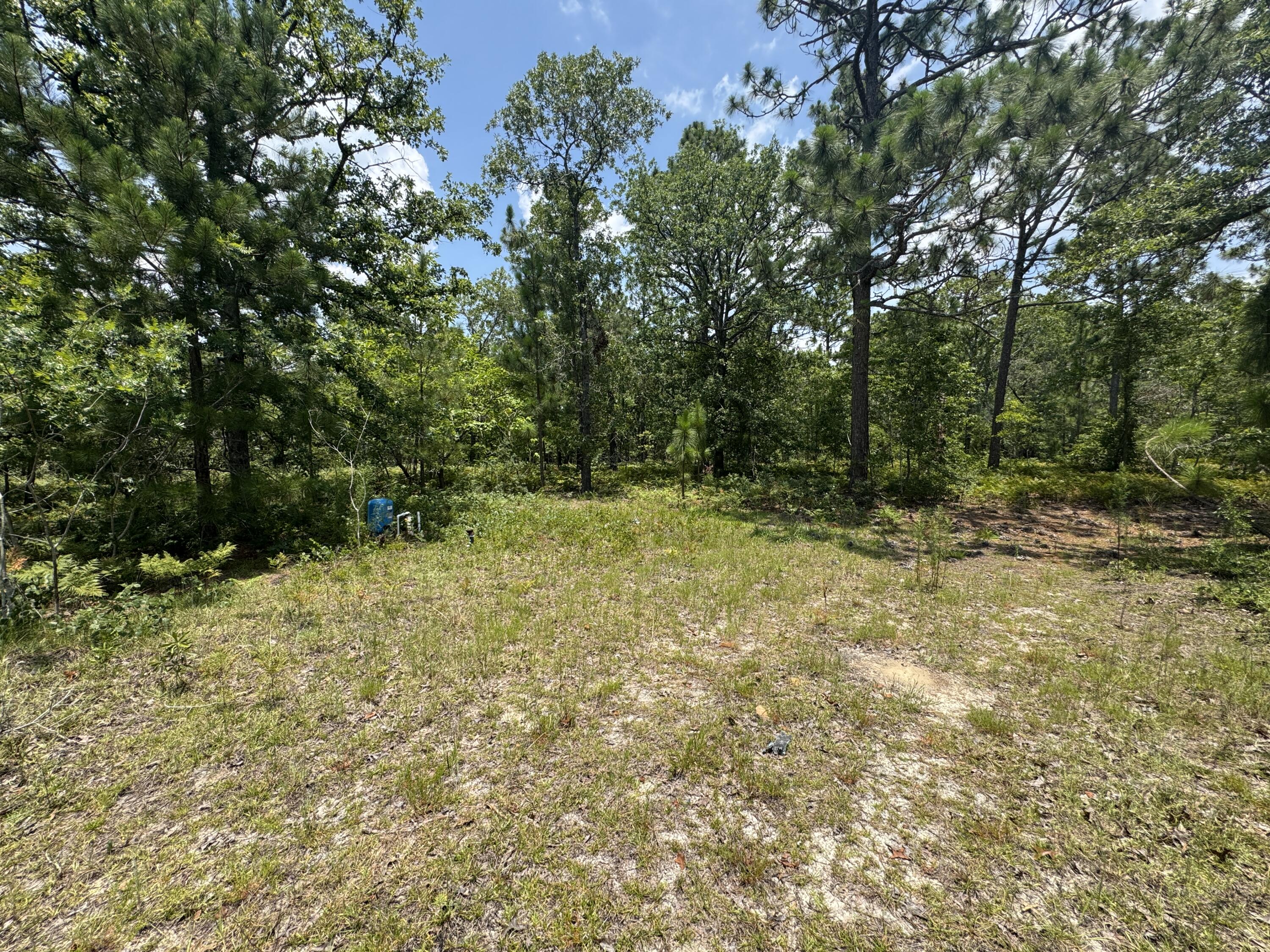 174 Hard Luck Lane Windsor, SC 29856 - Photo 27 of 27