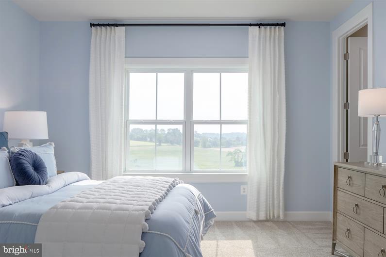 6000 Ancurt Mews Frederick, MD 21701 - Photo 20 of 31